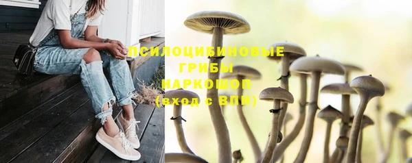мяу мяу мука Каменногорск
