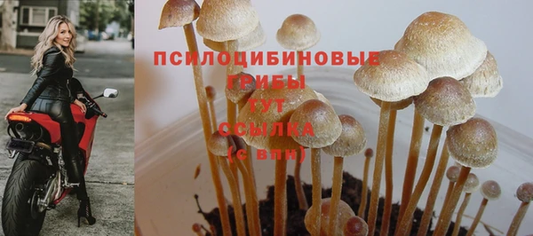 MDMA Каменка