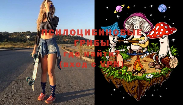 мяу мяу мука Каменногорск
